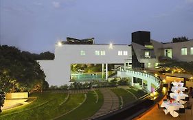 The Woodrose